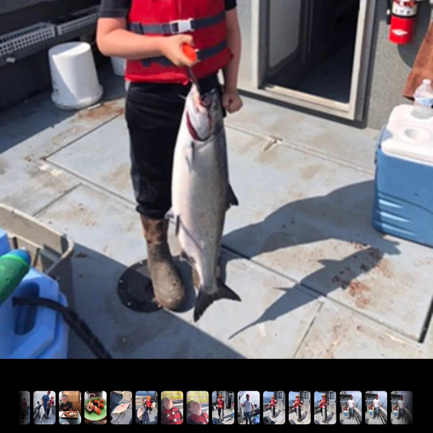 recently logged catches