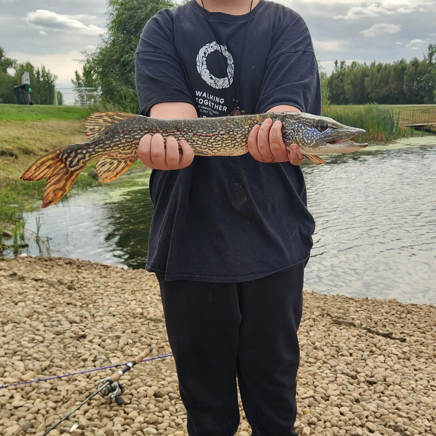 Northern pike caught on Fishbrain