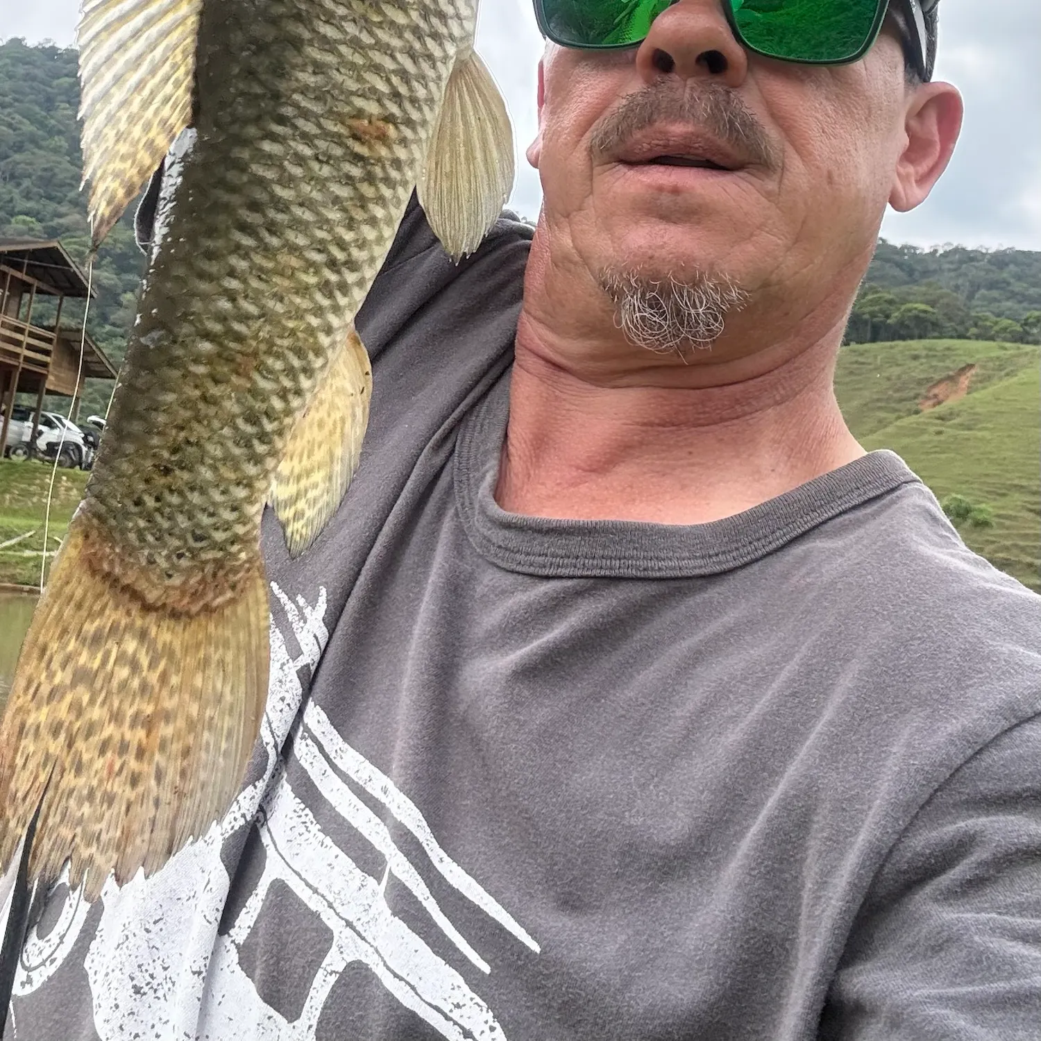 The most recent Trahira catches on Fishbrain