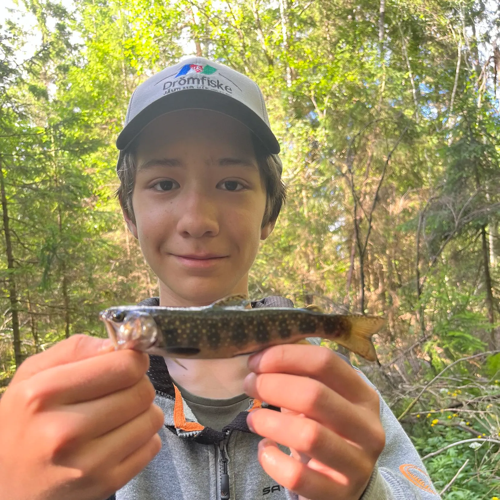 The most recent Brook trout catches on Fishbrain