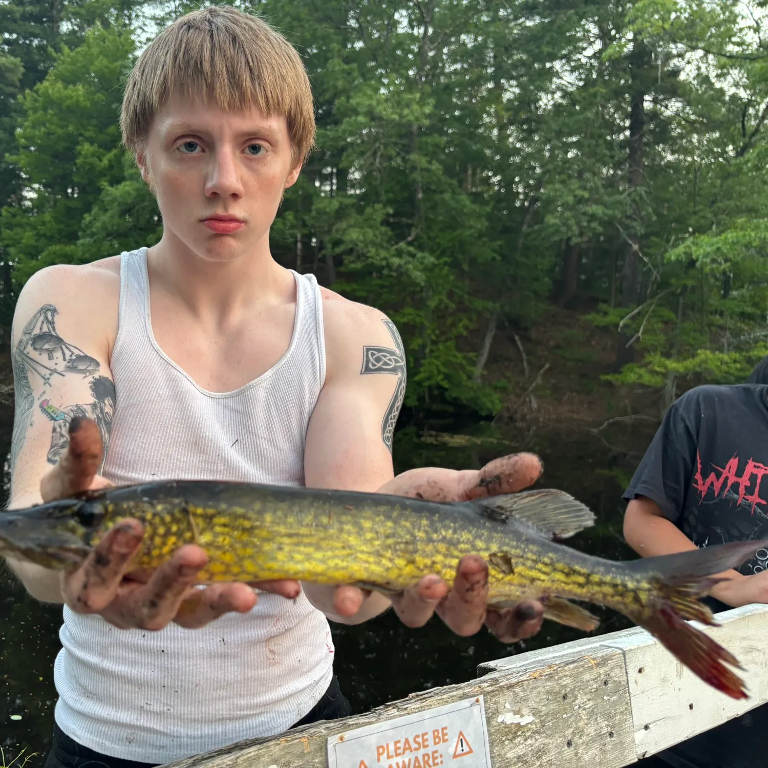 most liked catch image