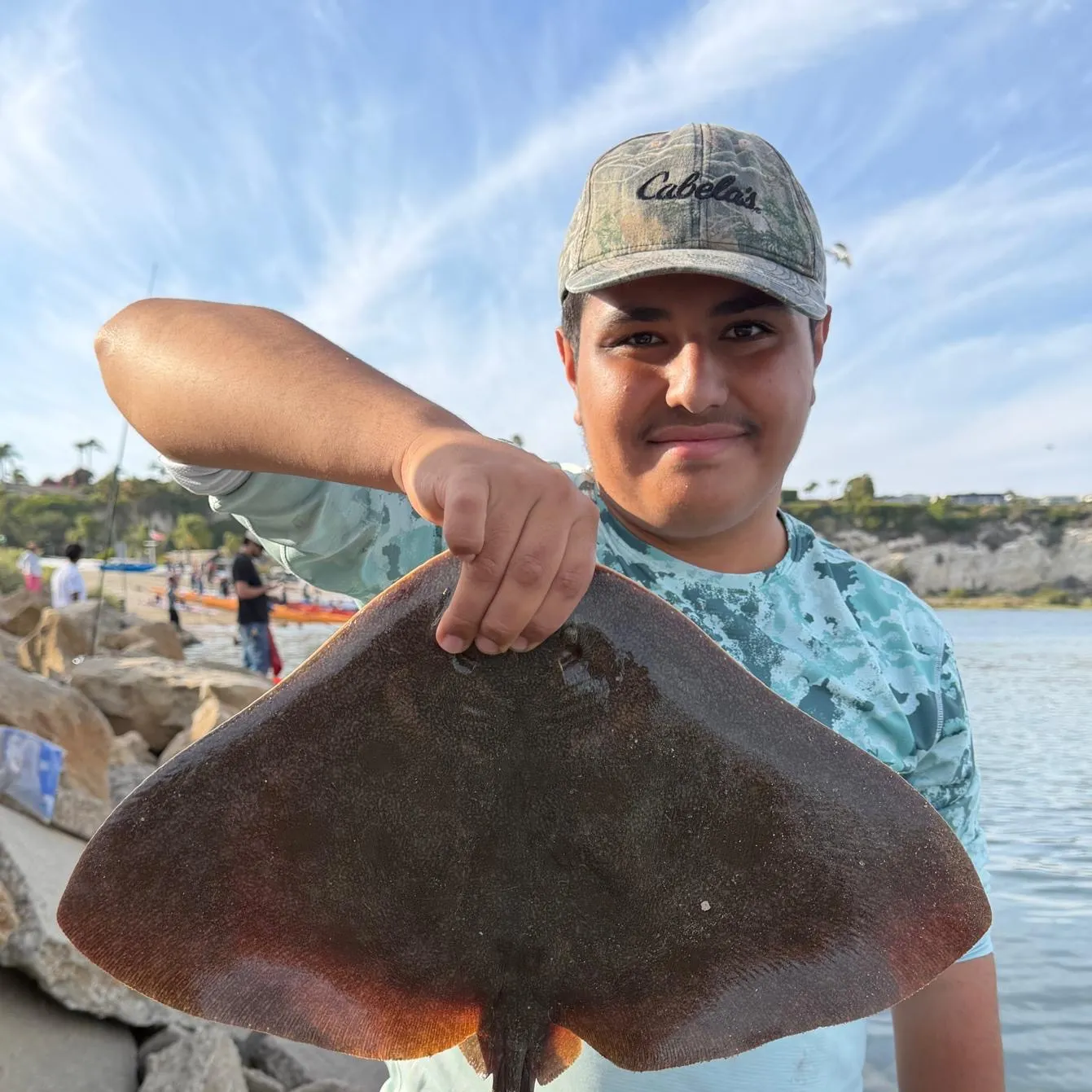The most recent California butterfly ray catches on Fishbrain