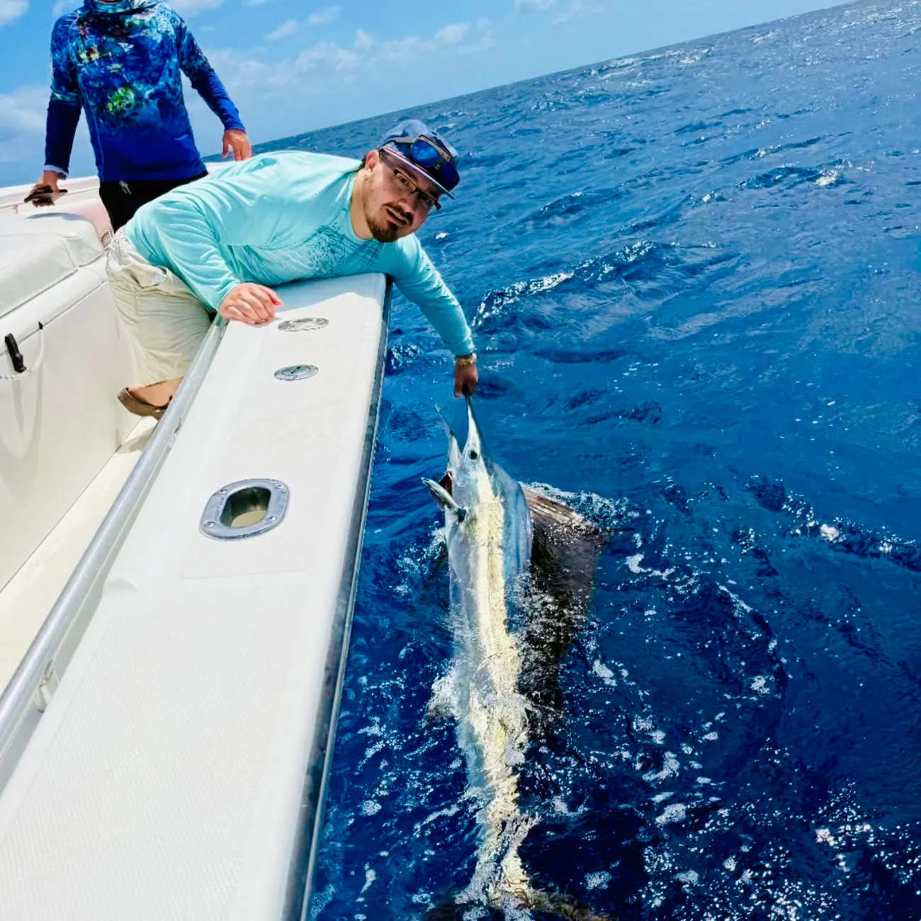 The most recent Atlantic sailfish catches on Fishbrain