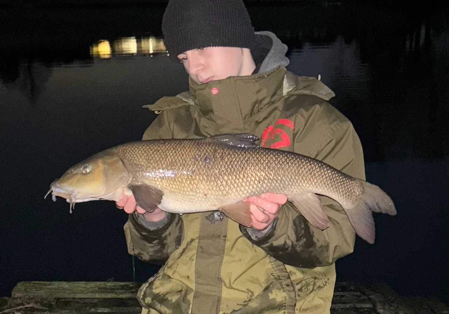 Common barbel