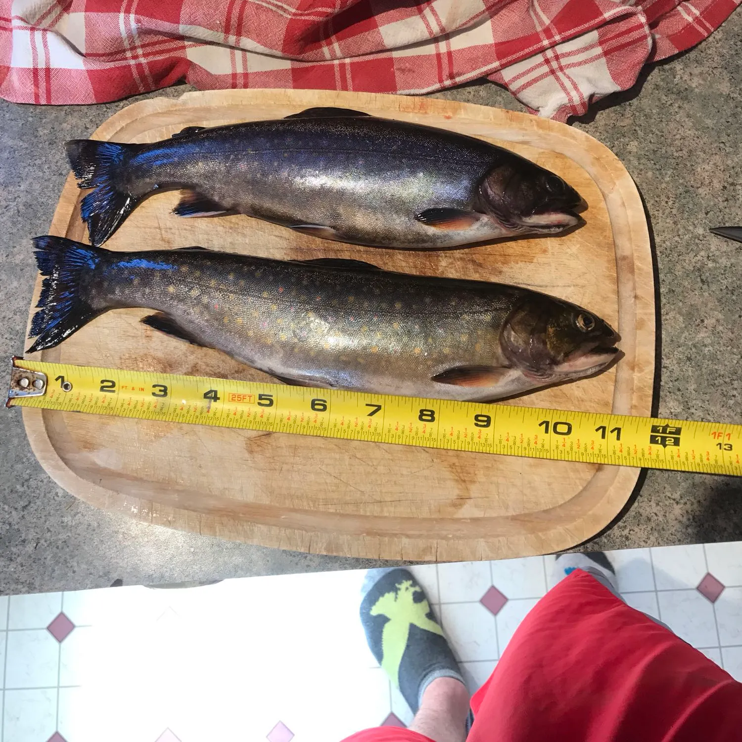 recently logged catches