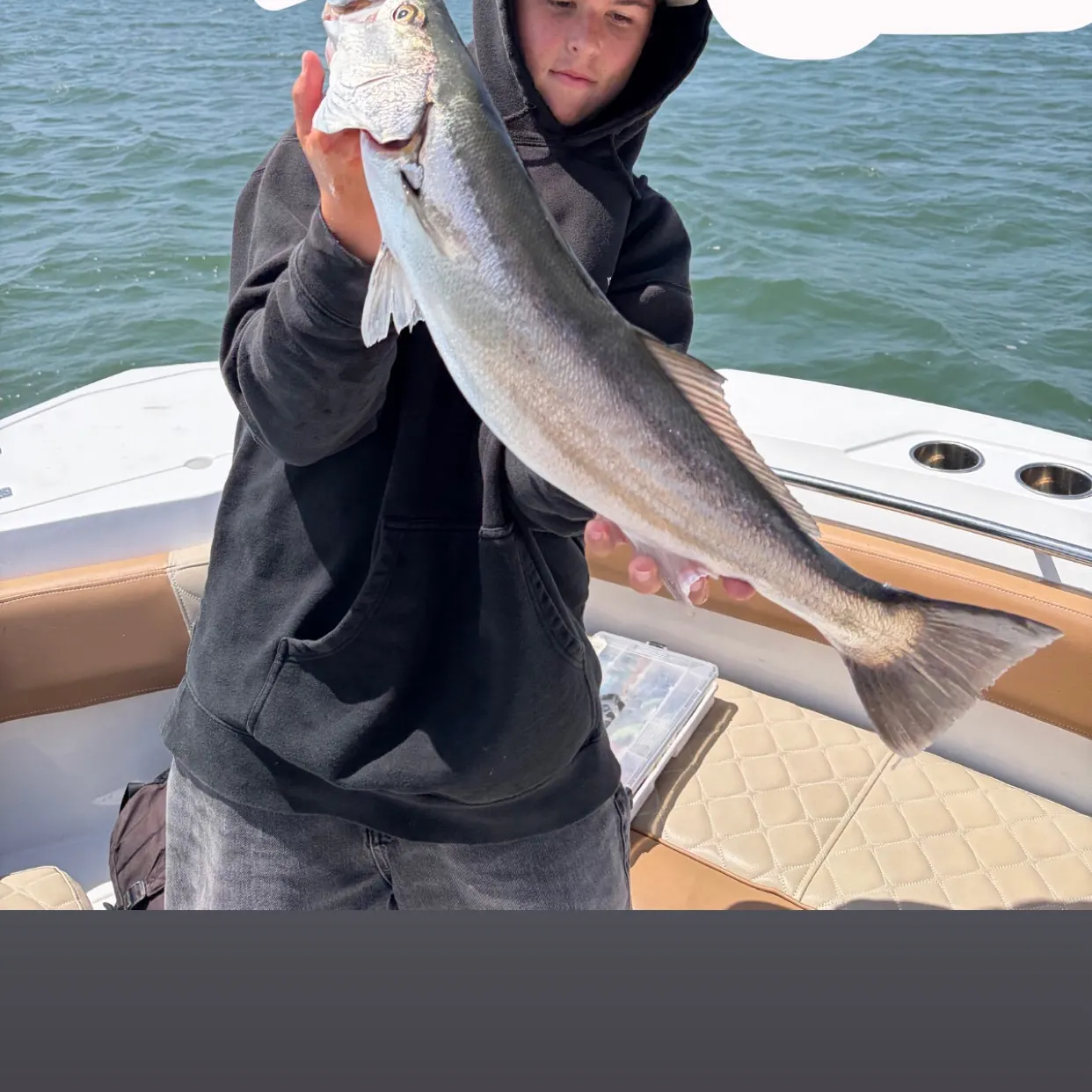 The most recent Orangemouth weakfish catches on Fishbrain