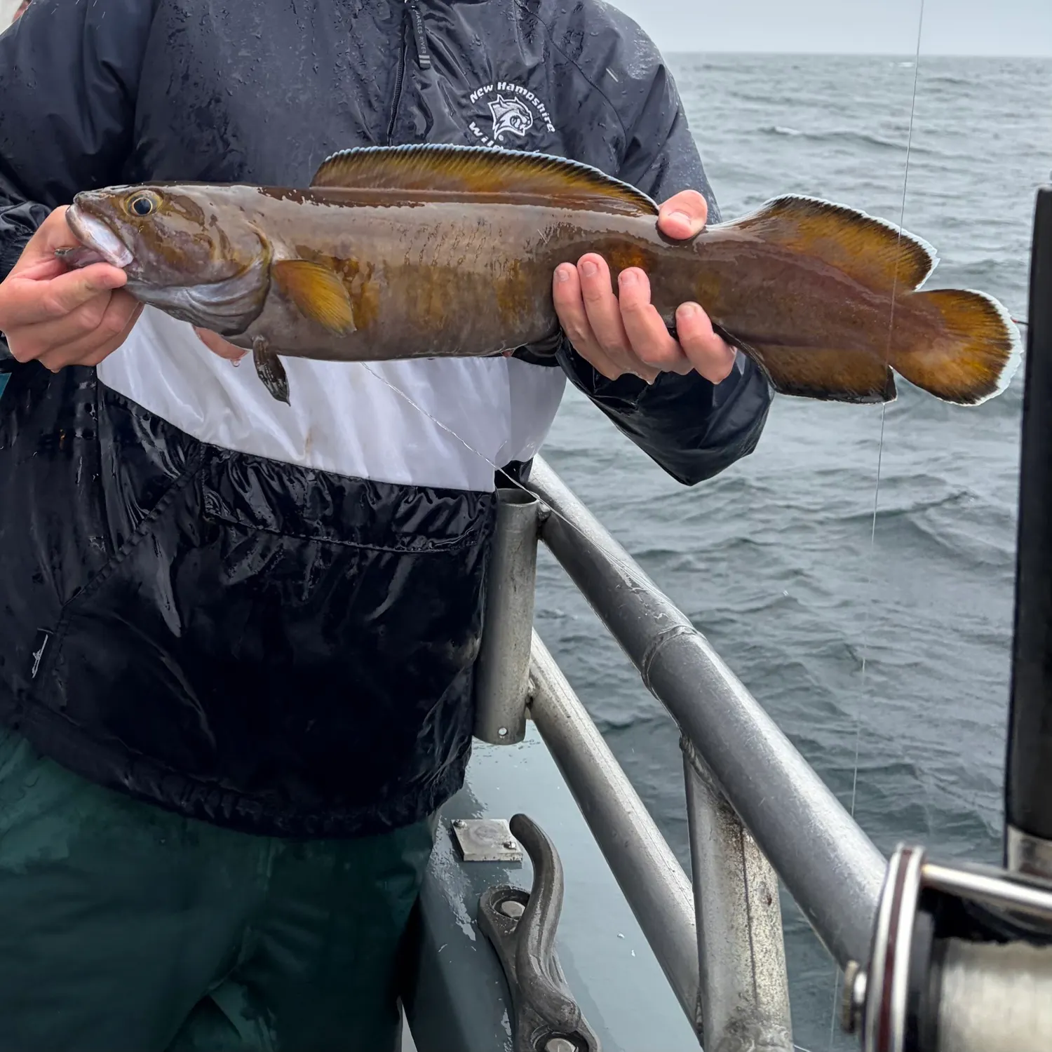 The most recent Cusk catches on Fishbrain
