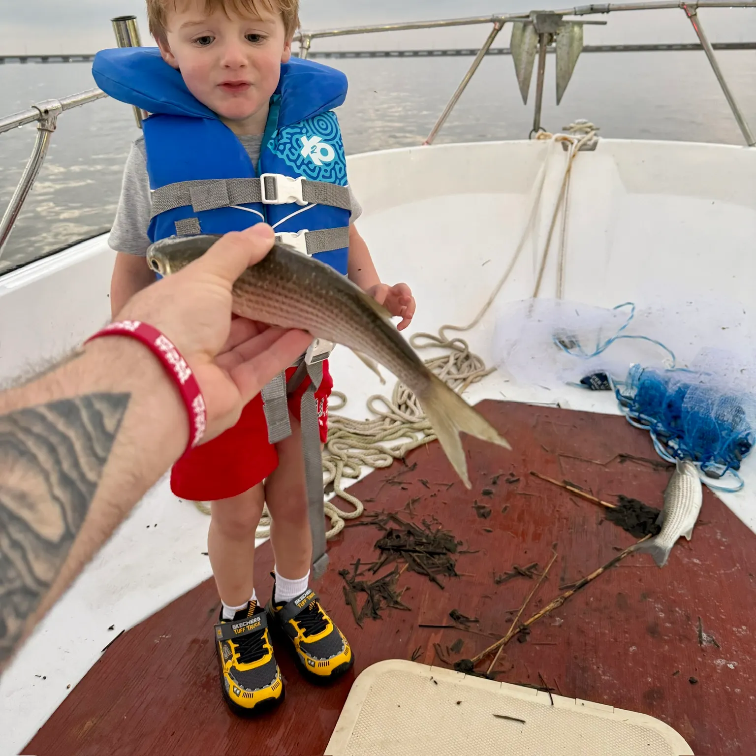 The most recent Striped mullet catches on Fishbrain