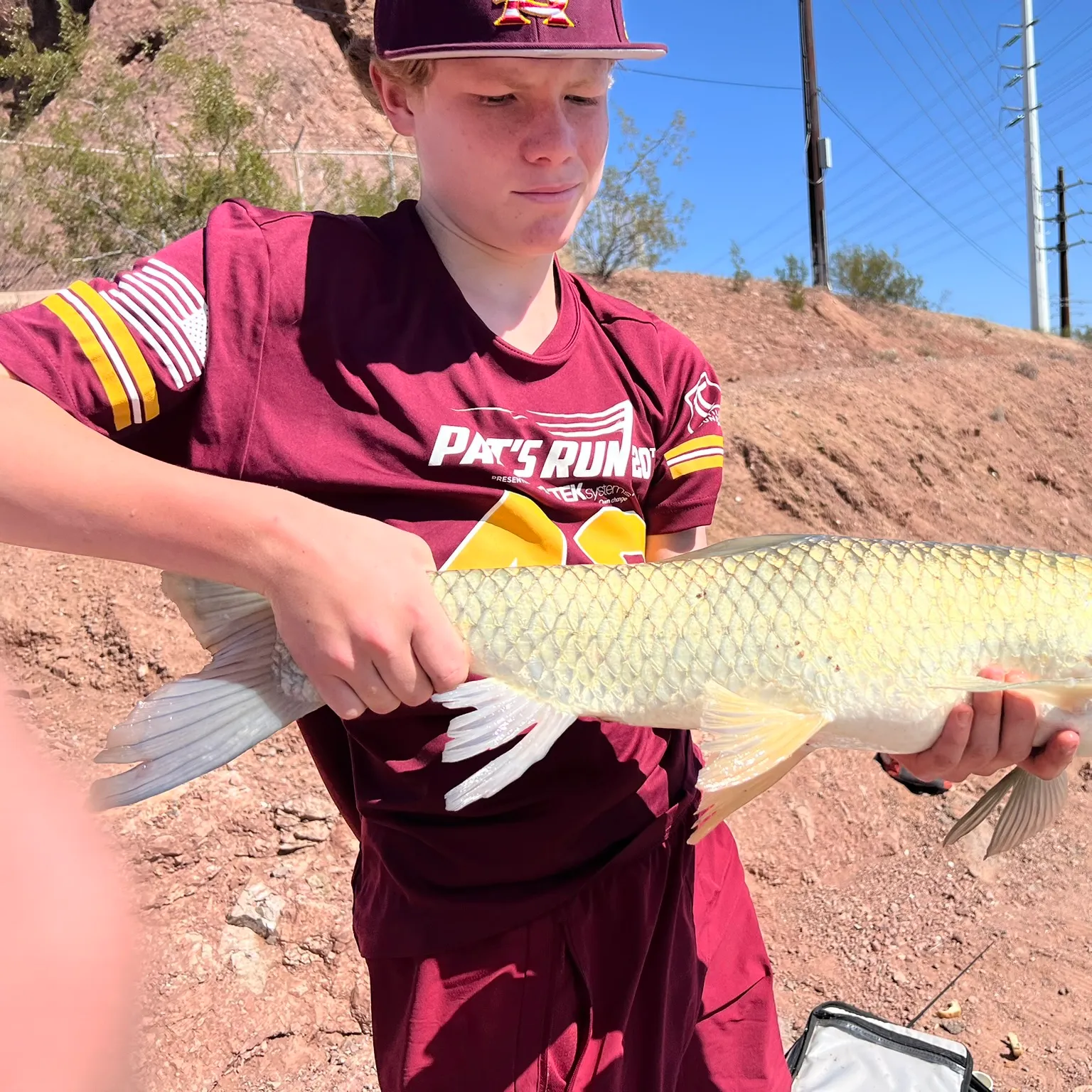 The most recent Grass carp catches on Fishbrain