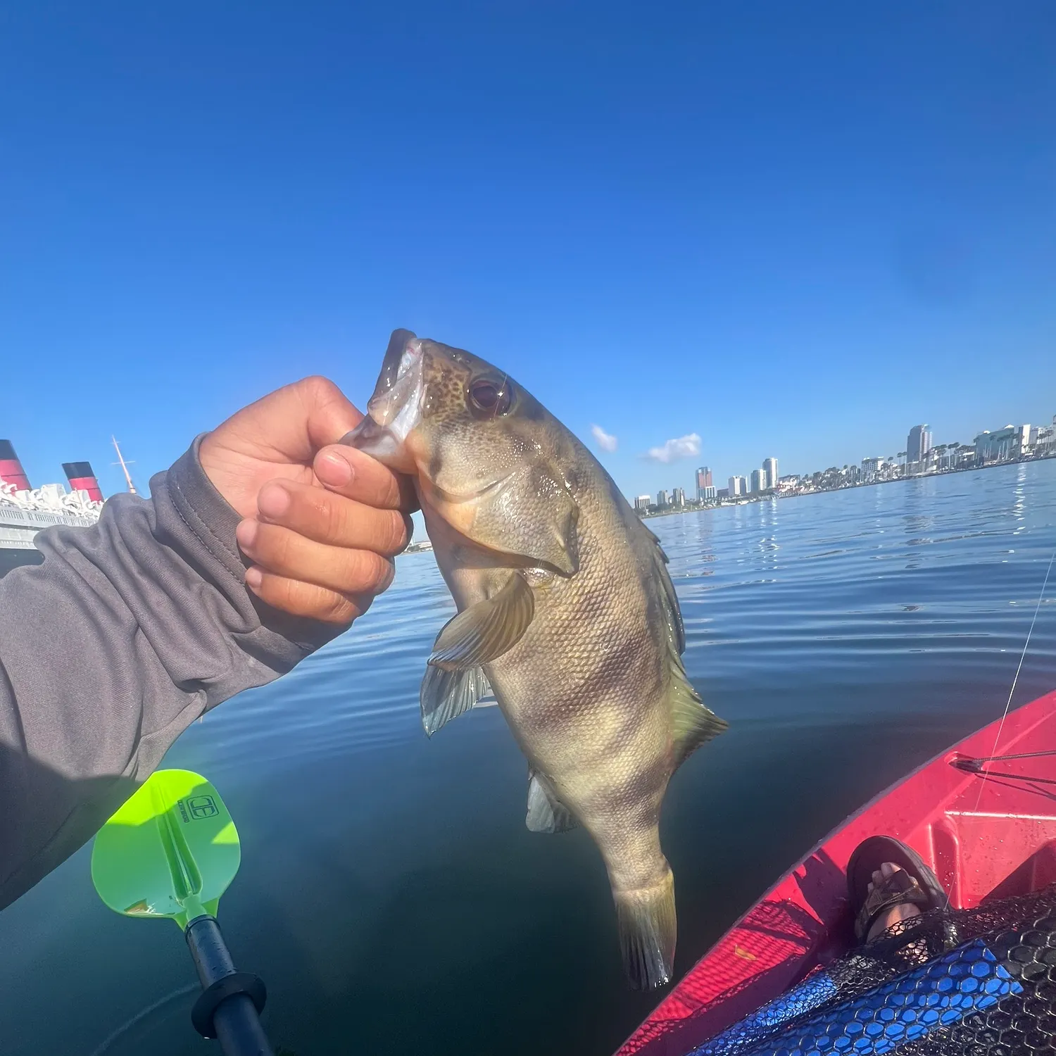 catch