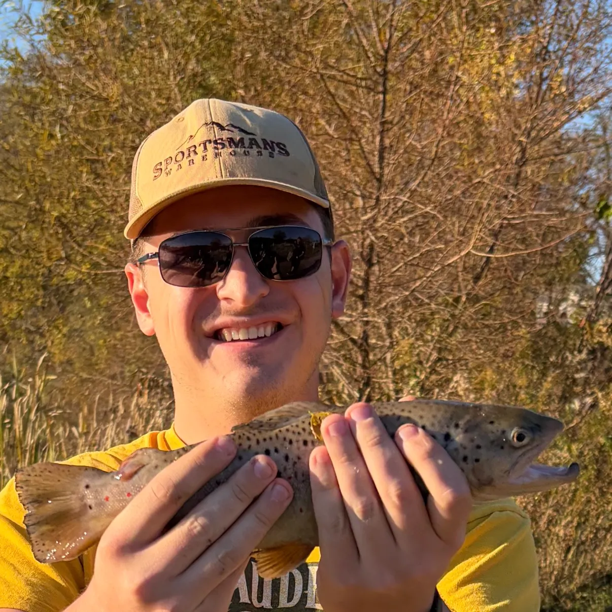 Brown trout caught on Fishbrain