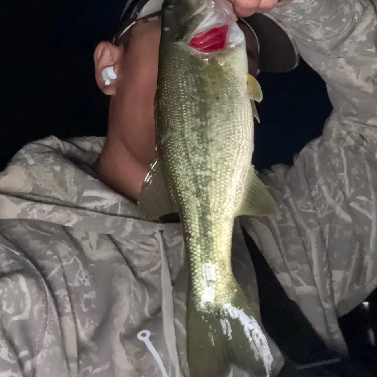 Largemouth bass caught on Fishbrain