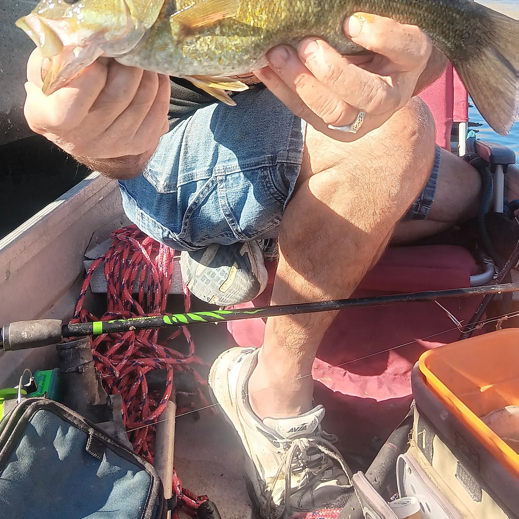 Smallmouth bass caught on Fishbrain