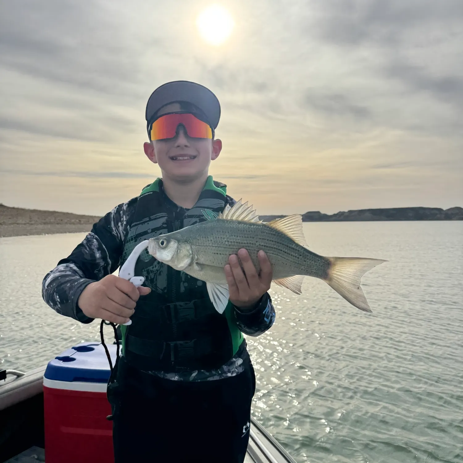White bass caught on Fishbrain
