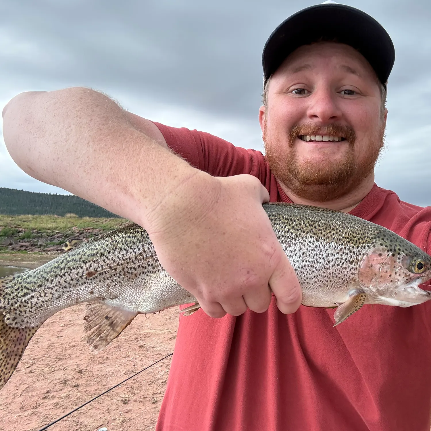 Rainbow trout caught on Fishbrain