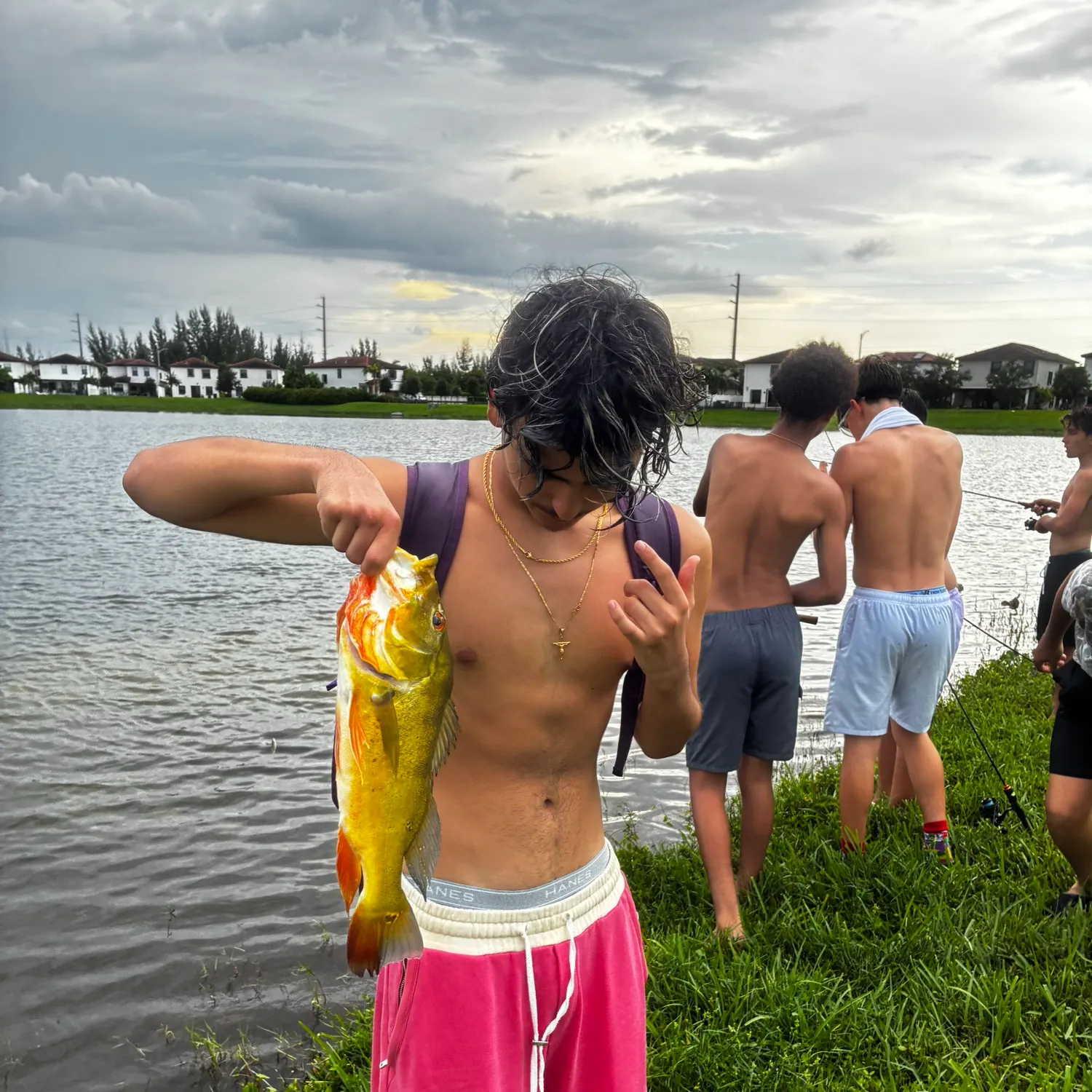 Butterfly peacock bass caught on Fishbrain