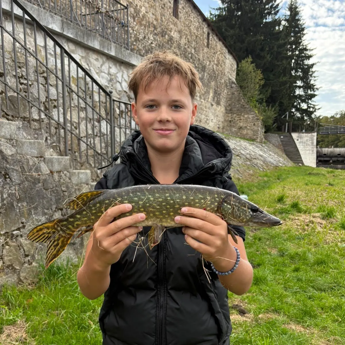 Northern pike caught on Fishbrain