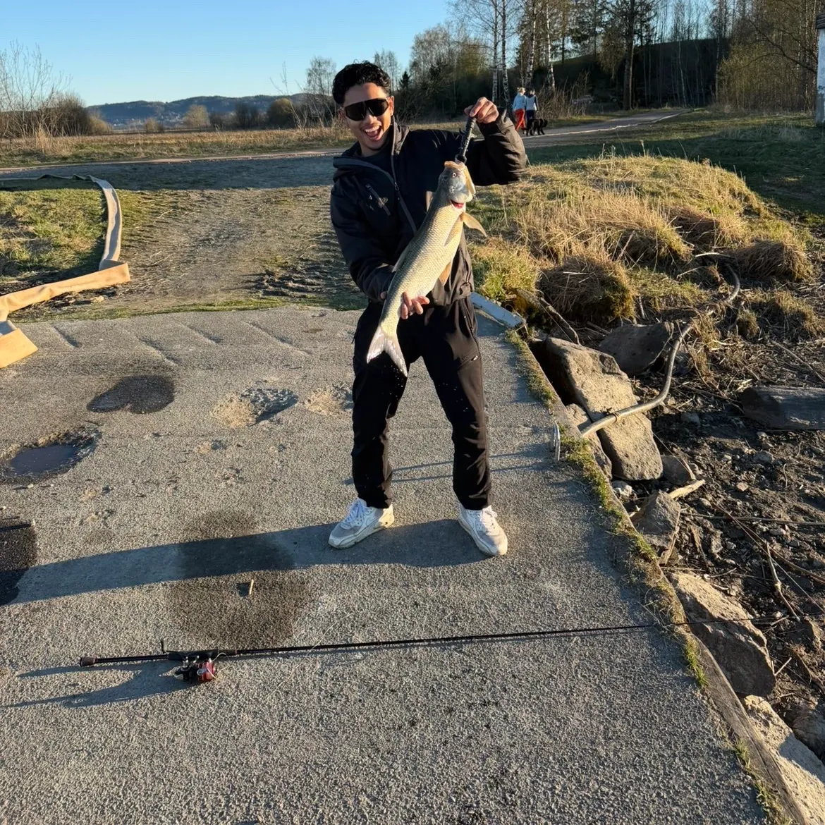 The most recent Asp catches on Fishbrain