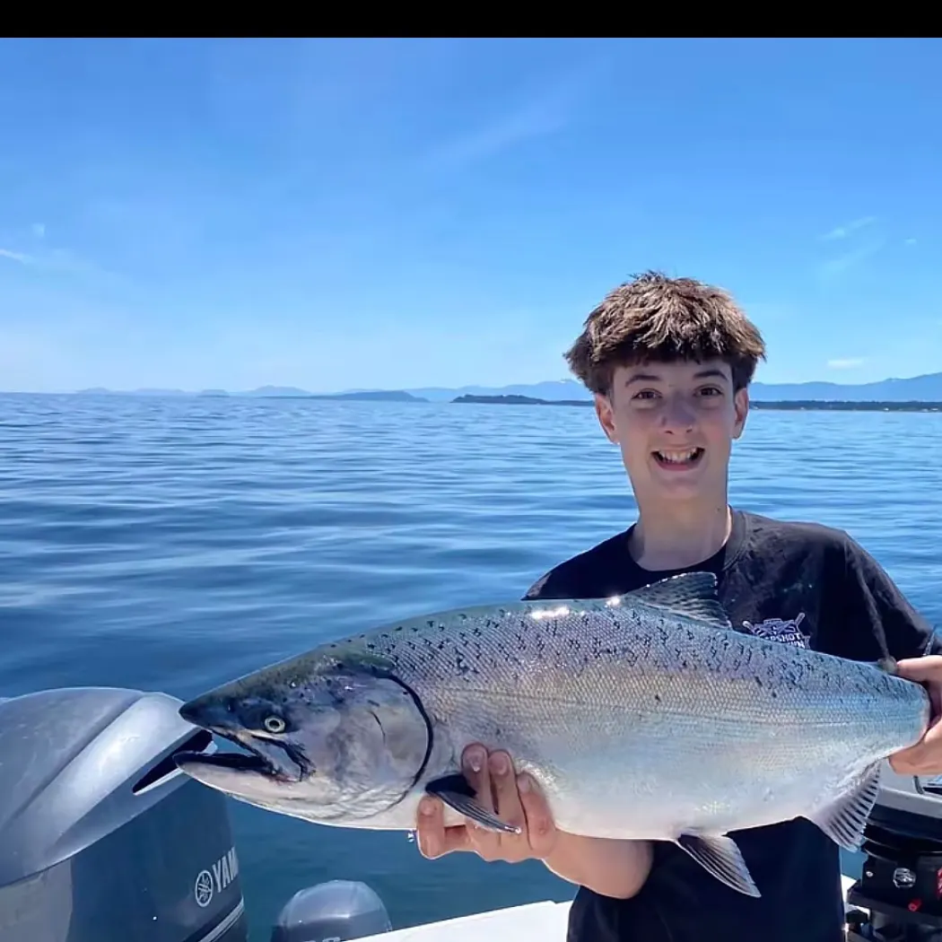 Chinook salmon caught on Fishbrain