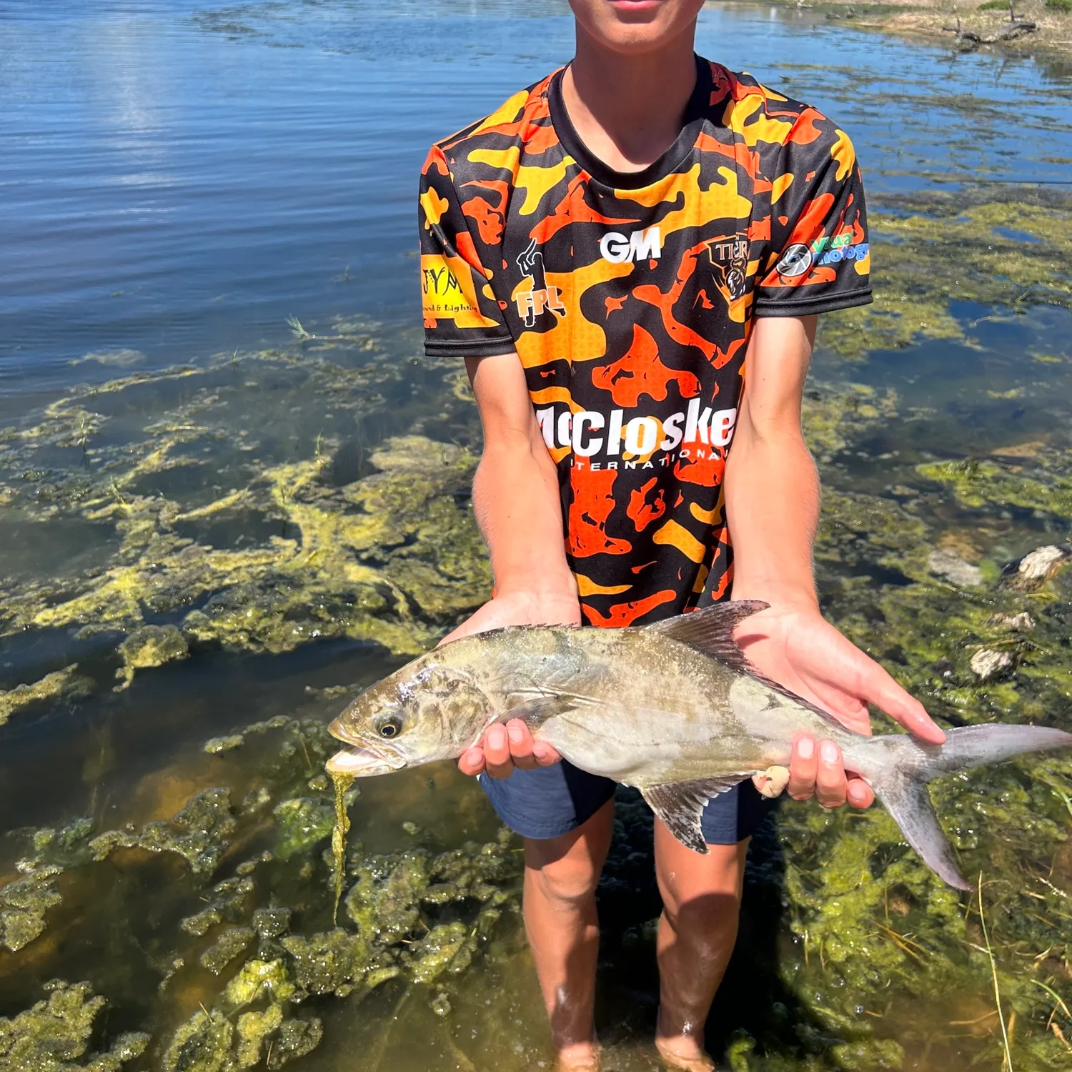The most recent Leerfish catches on Fishbrain