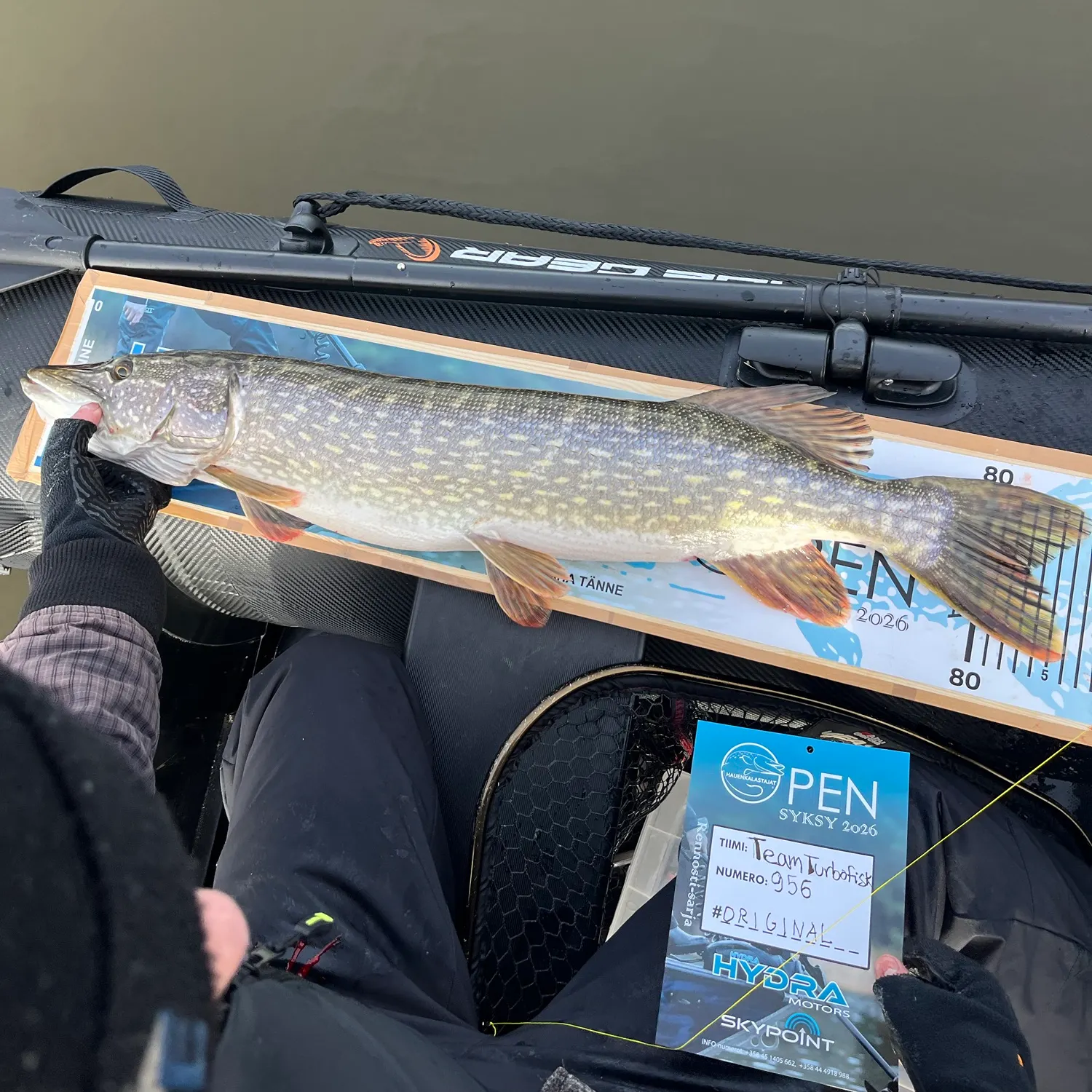 Northern pike caught on Fishbrain