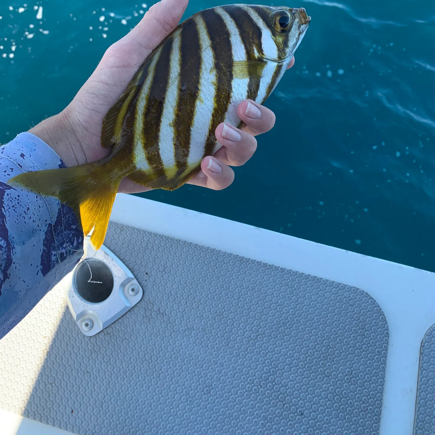 The most recent Moonlighter catches on Fishbrain