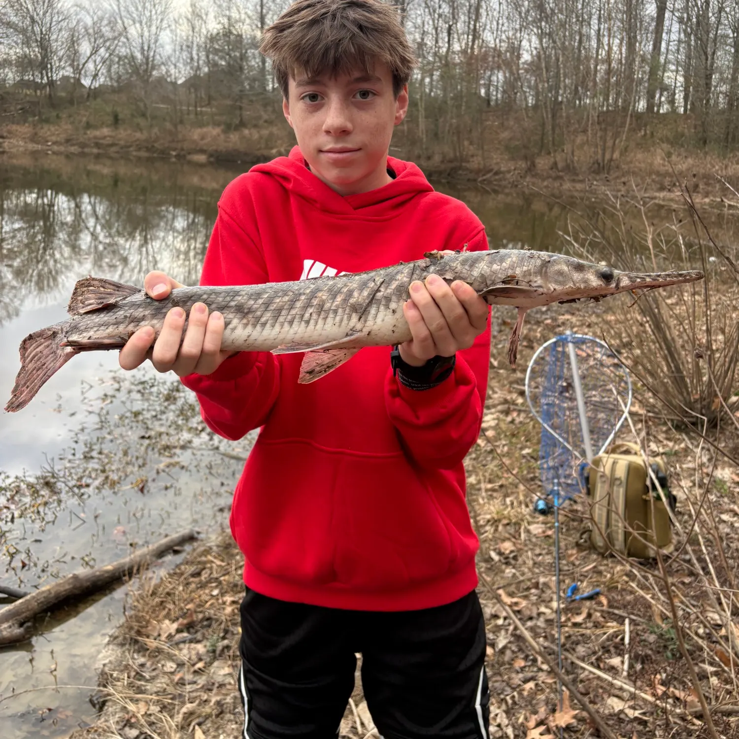 The most recent Shortnose gar catches on Fishbrain