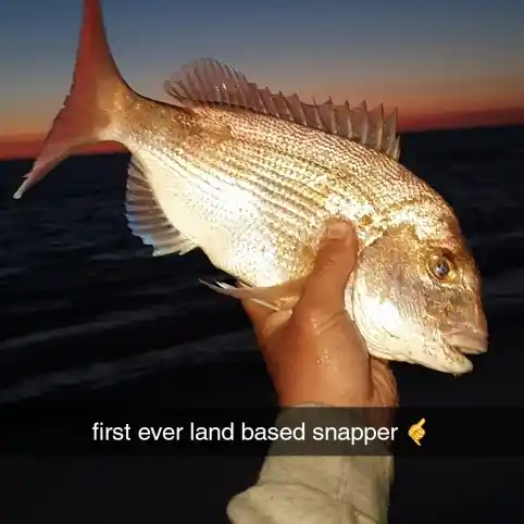 most liked catch image