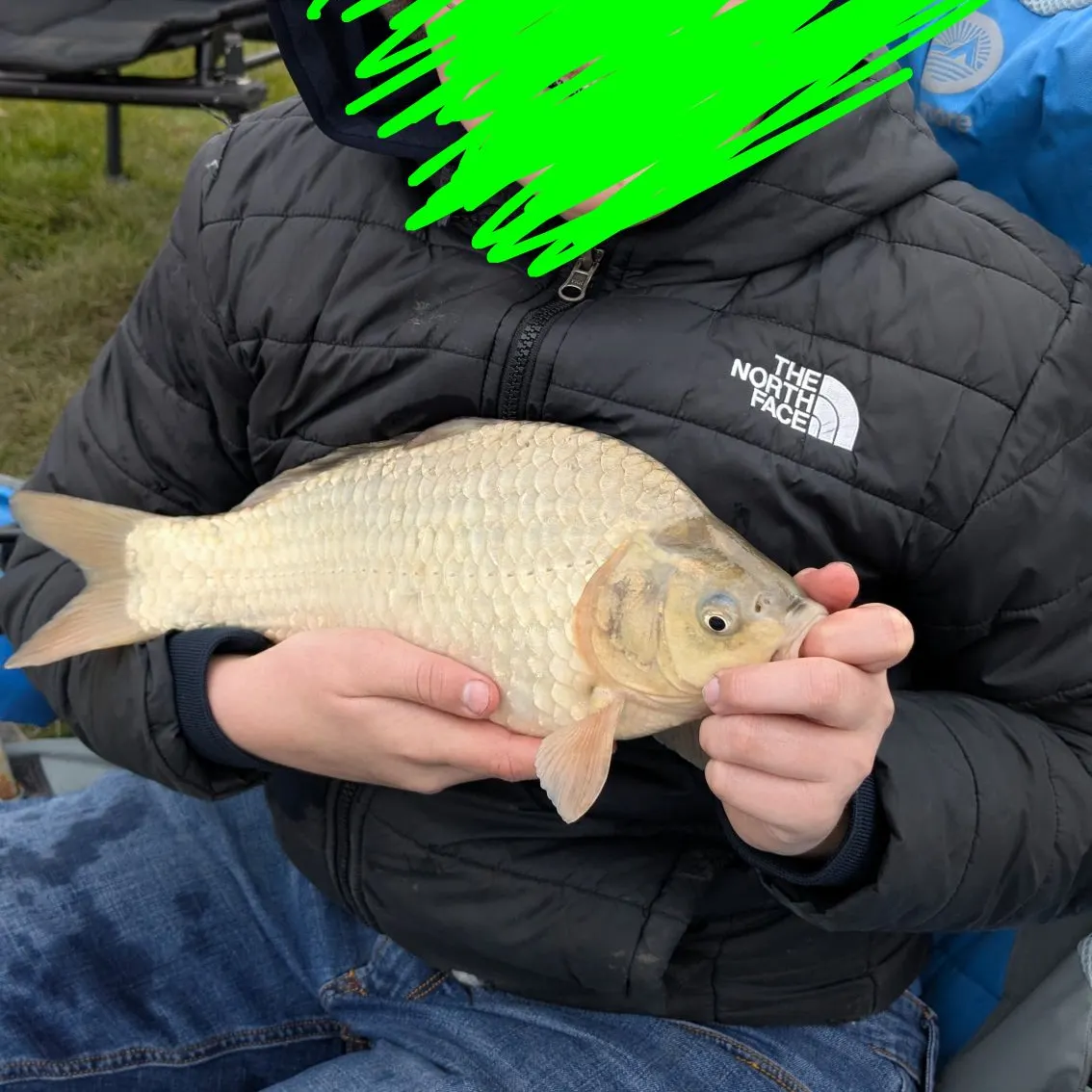 The most recent F1 carp catches on Fishbrain