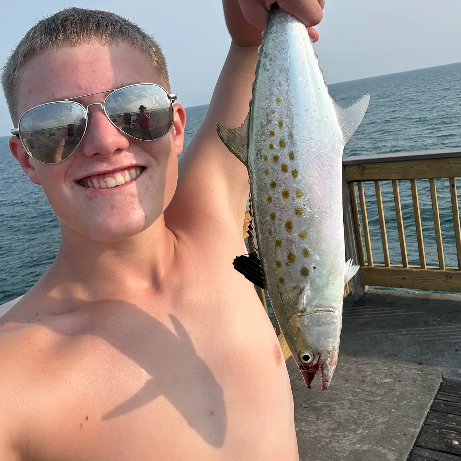 The most recent Spanish mackerel catches on Fishbrain