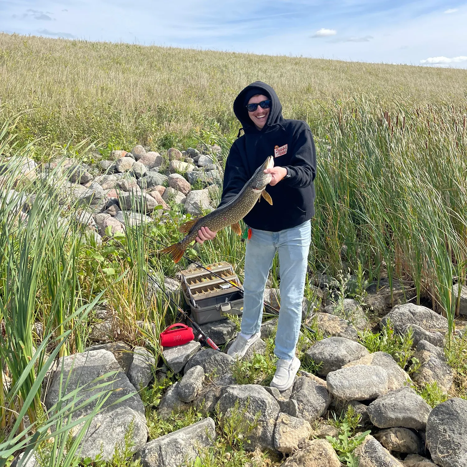 Northern pike caught on Fishbrain