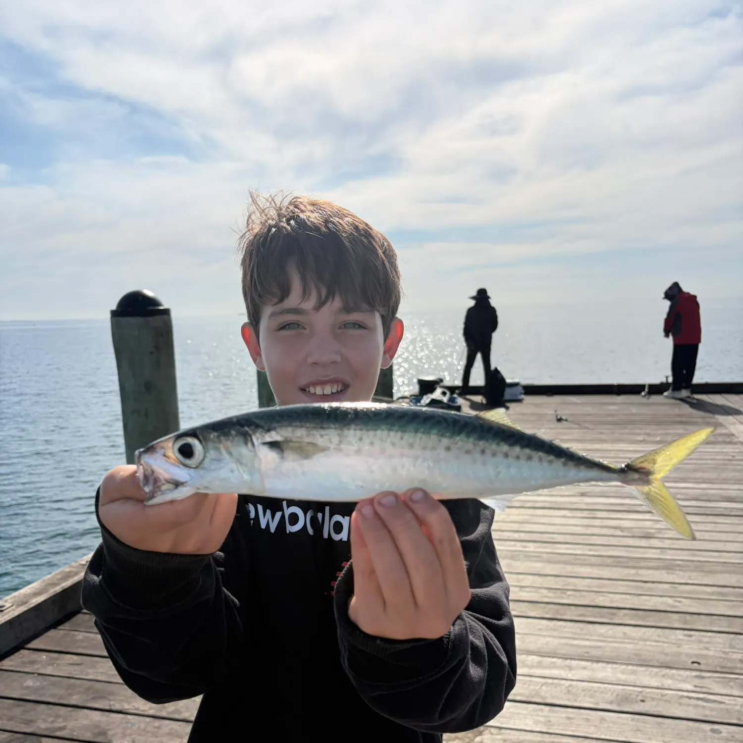 The most recent Blue mackerel catches on Fishbrain