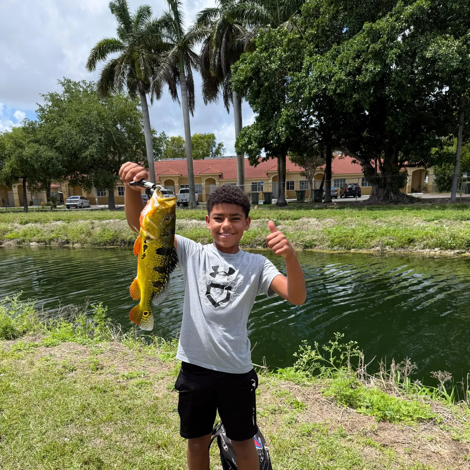 The most recent Butterfly peacock bass catches on Fishbrain