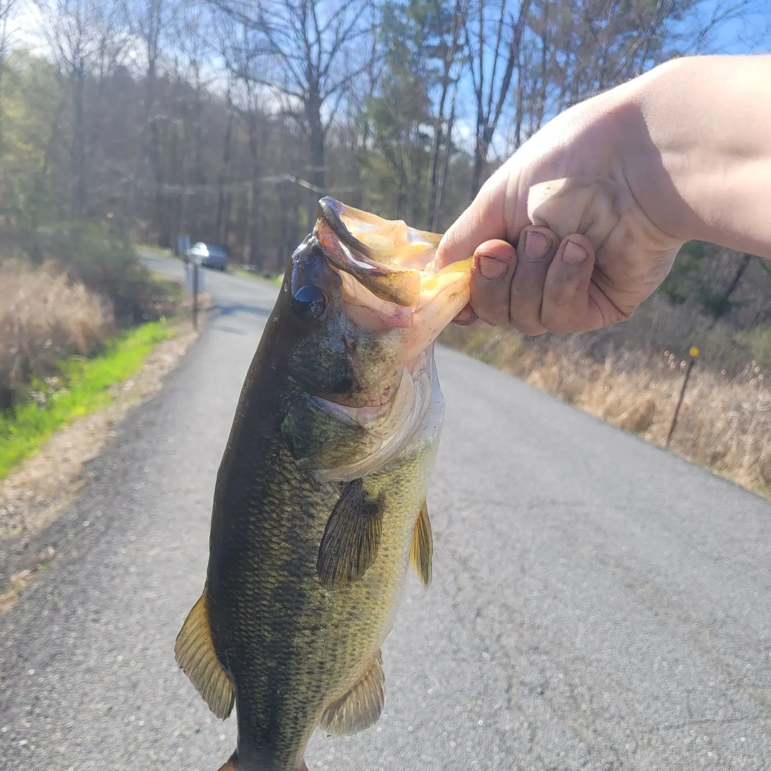 catch