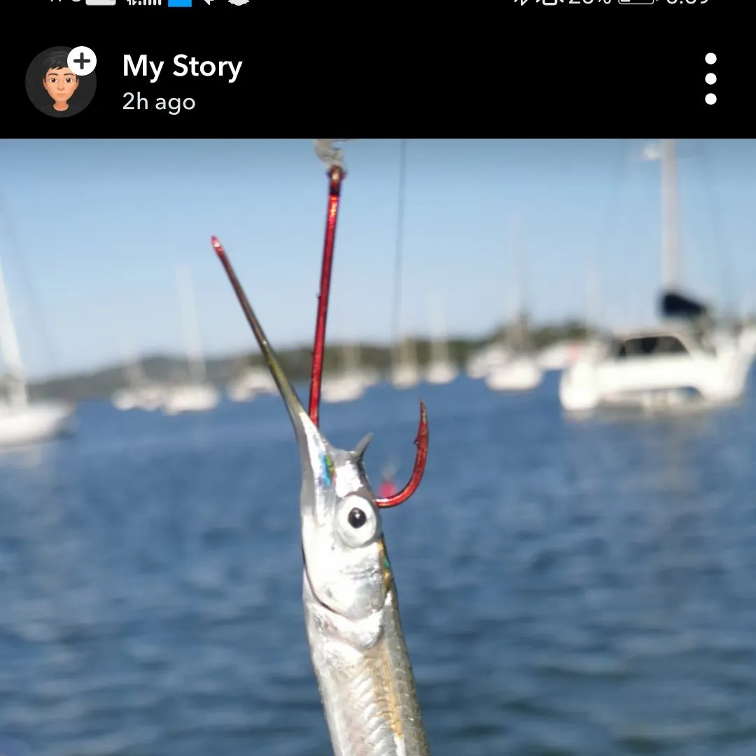 most liked catch image