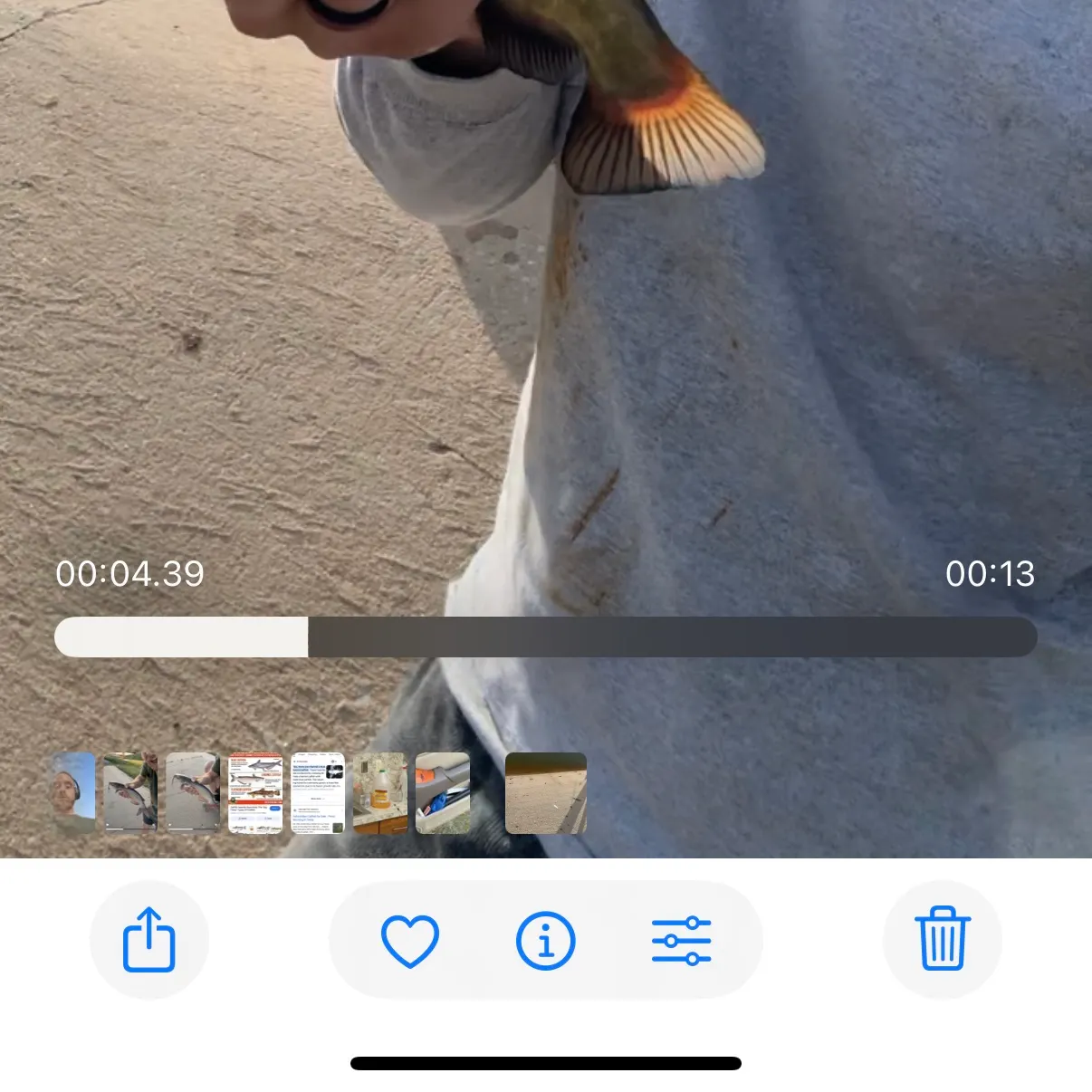 recently logged catches