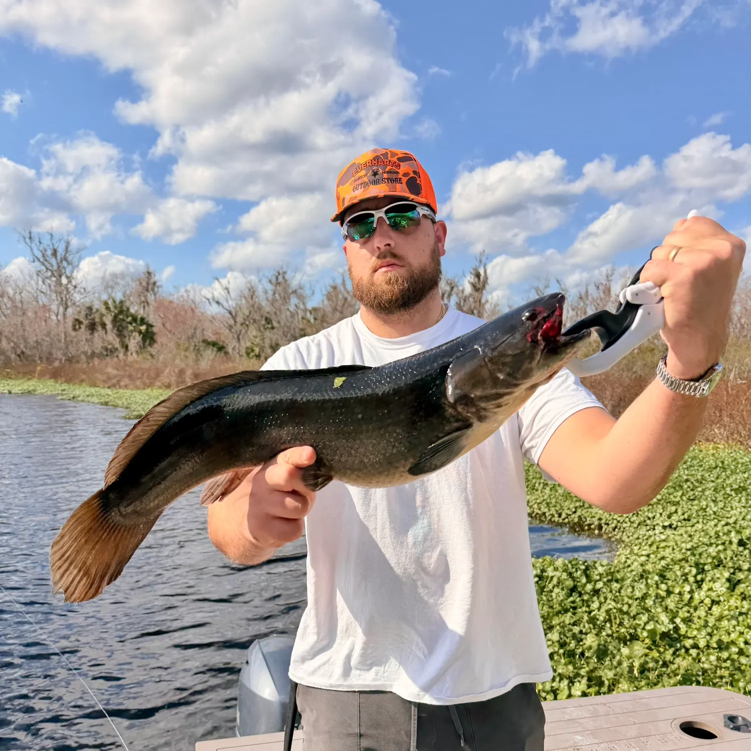 The most recent Ruddy bowfin catches on Fishbrain