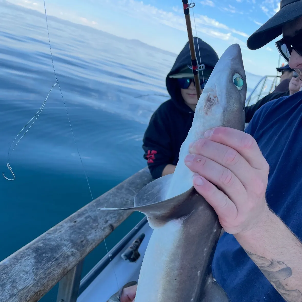 The most recent Pacific spiny dogfish catches on Fishbrain