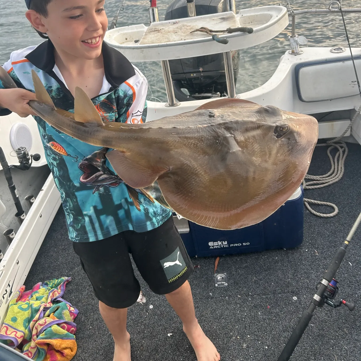 The most recent Southern fiddler catches on Fishbrain