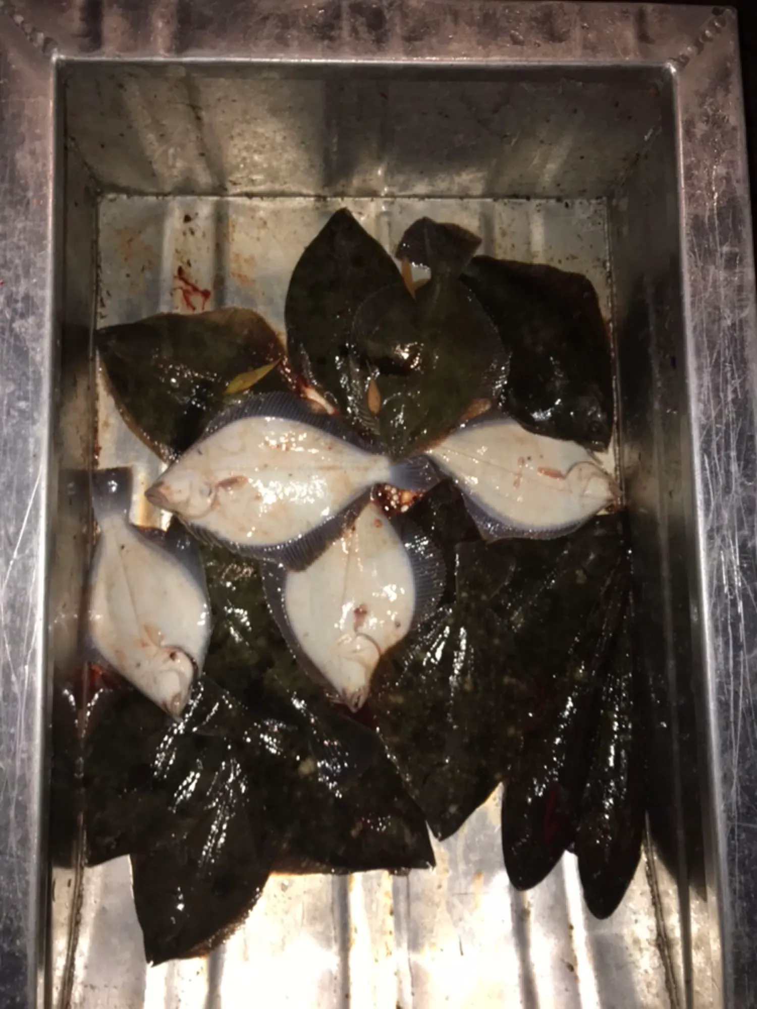 Post image from davegoss