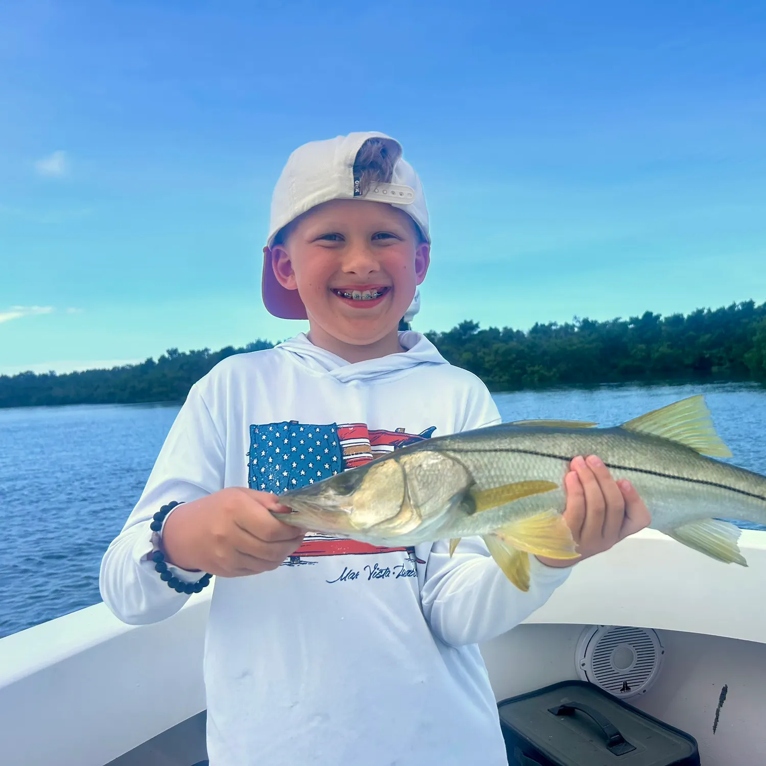The most recent Common snook catches on Fishbrain