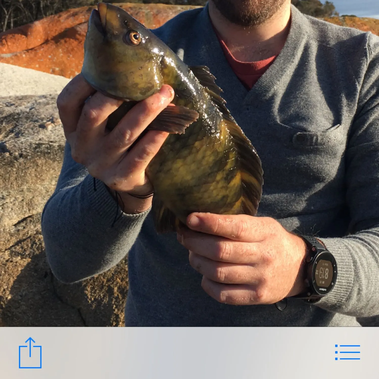 recently logged catches