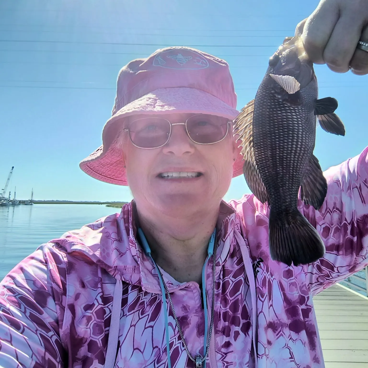 Black sea bass caught on Fishbrain