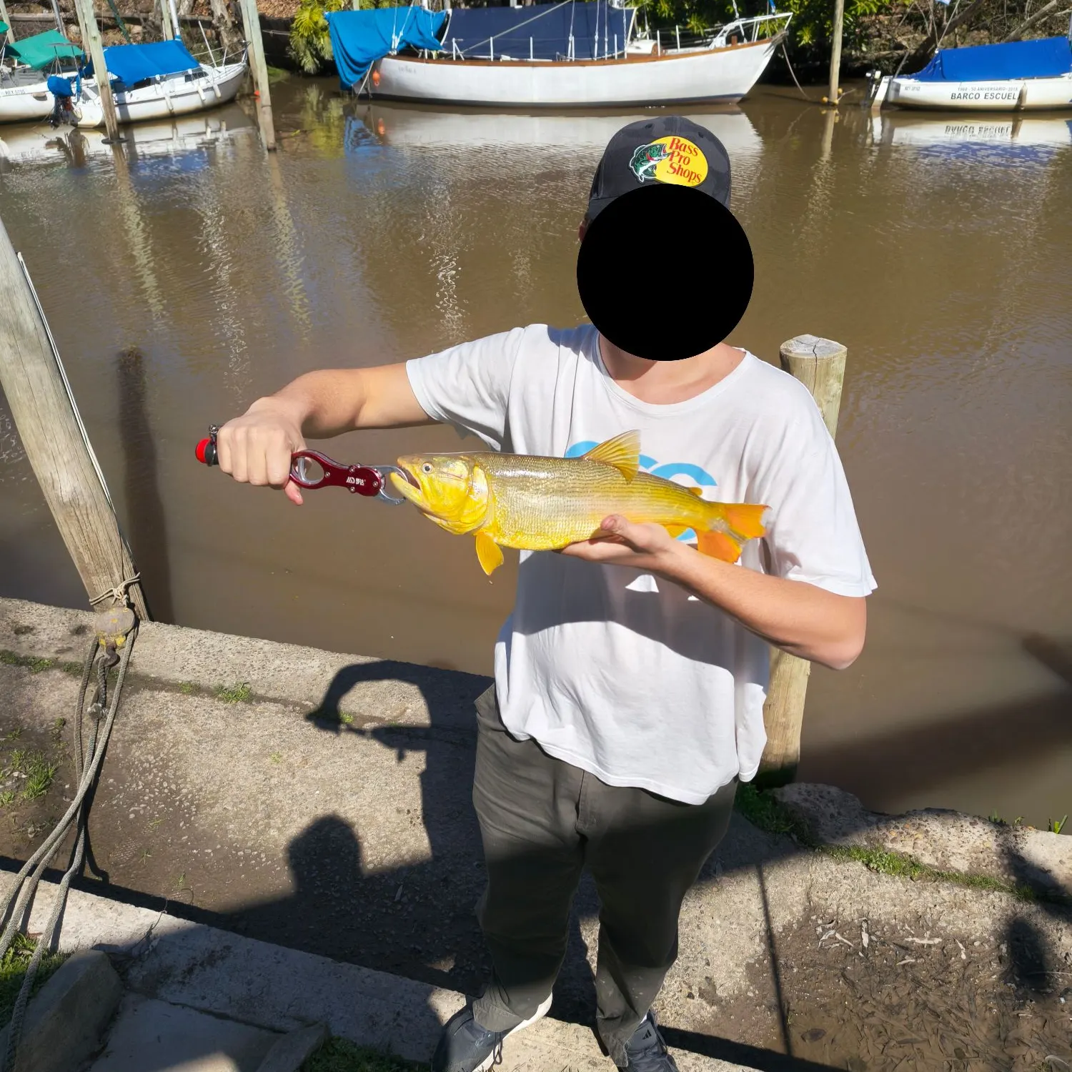 The most recent Golden dorado catches on Fishbrain
