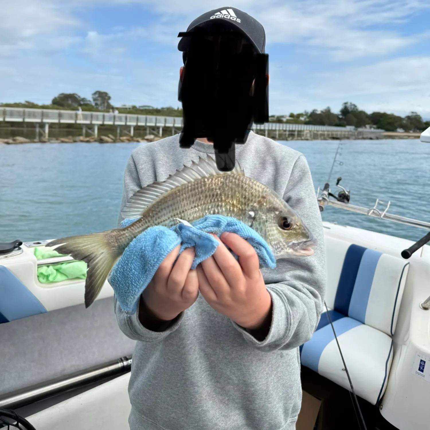 Surf bream caught on Fishbrain