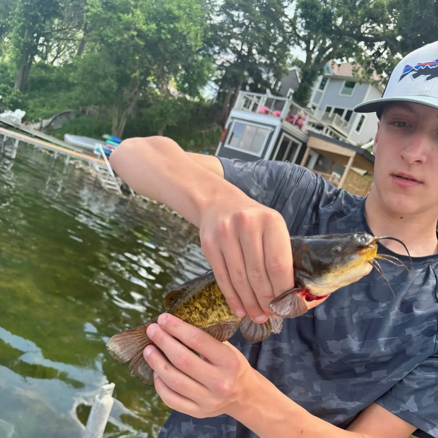 The most recent Brown bullhead catches on Fishbrain