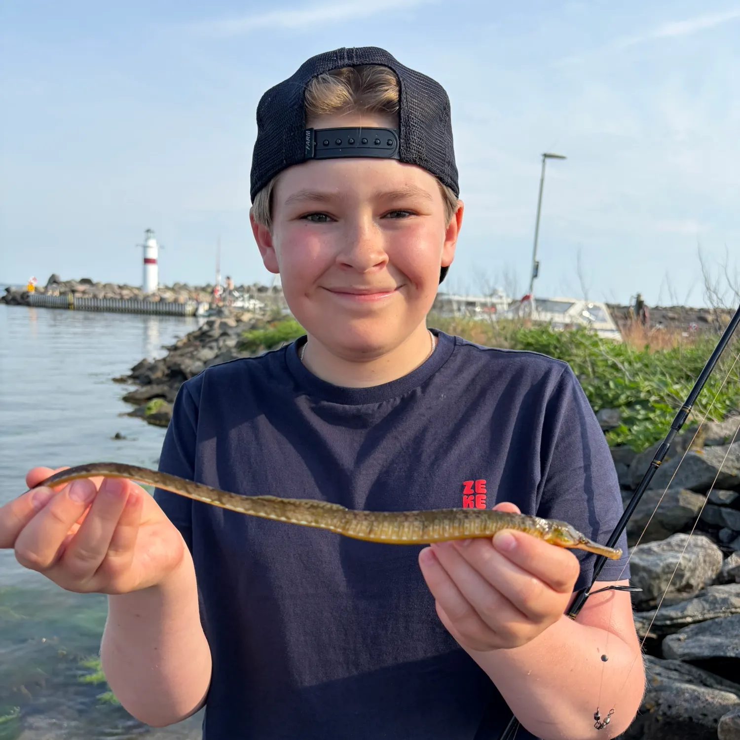 The most recent Northern pipefish catches on Fishbrain