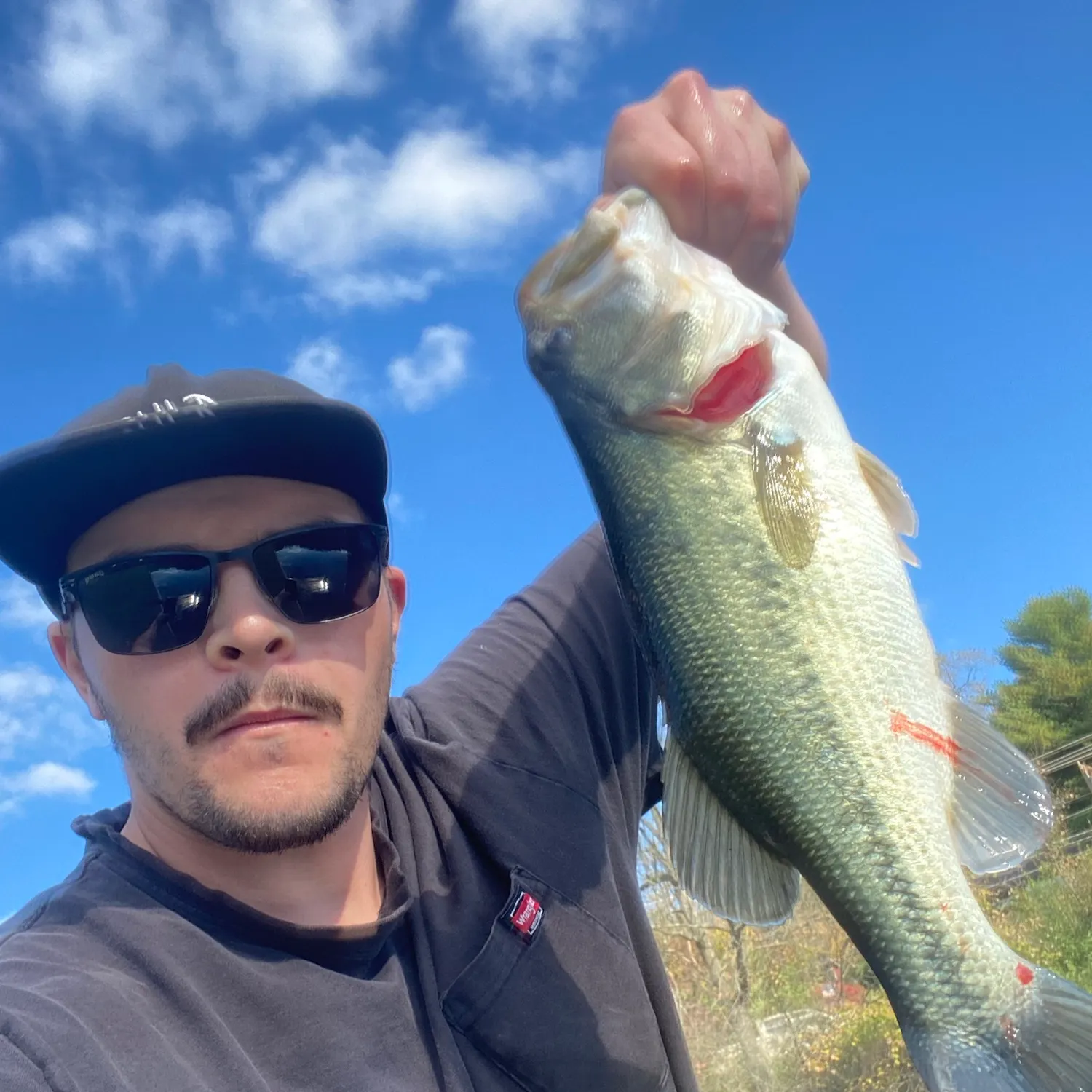 Largemouth bass caught on Fishbrain