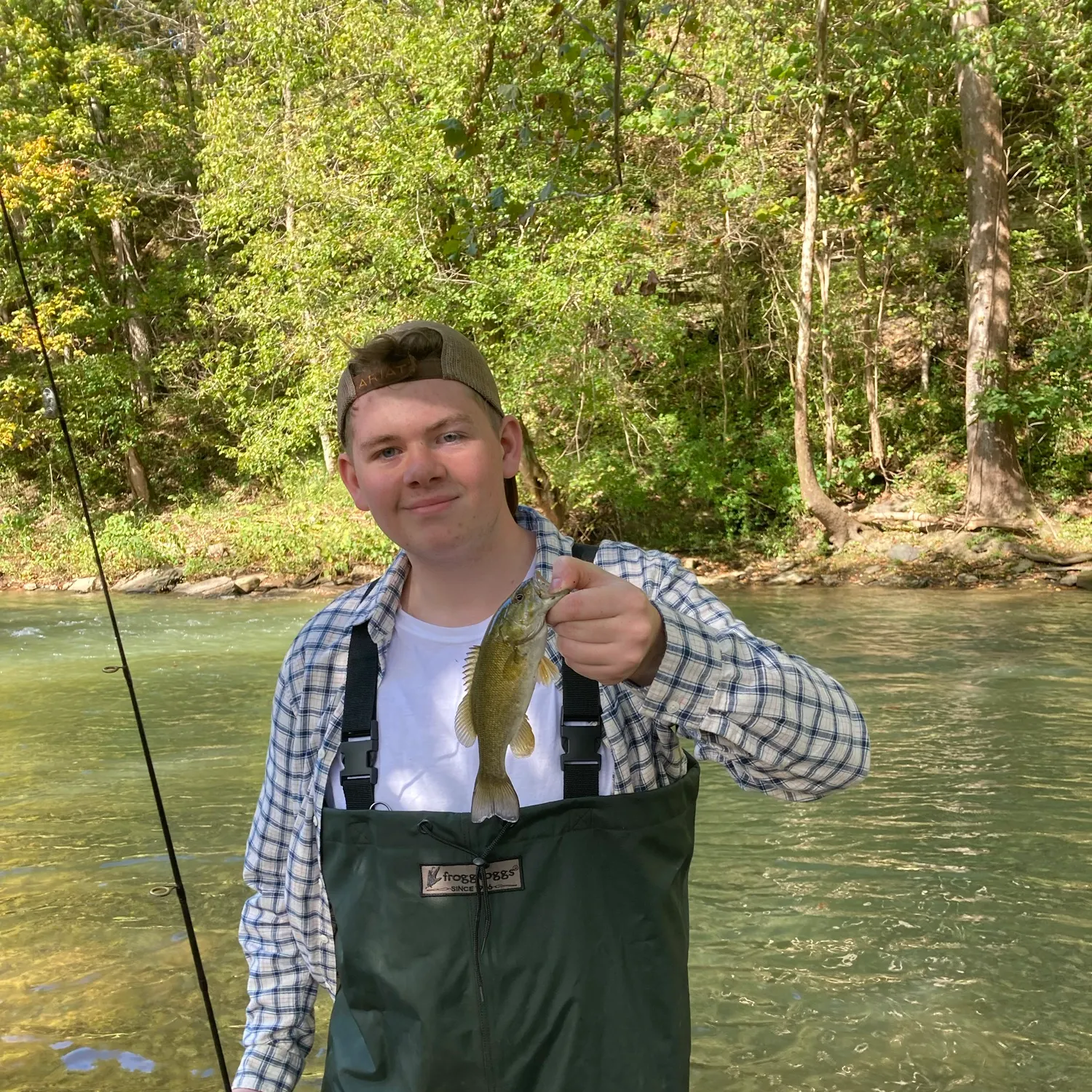 Smallmouth bass caught on Fishbrain