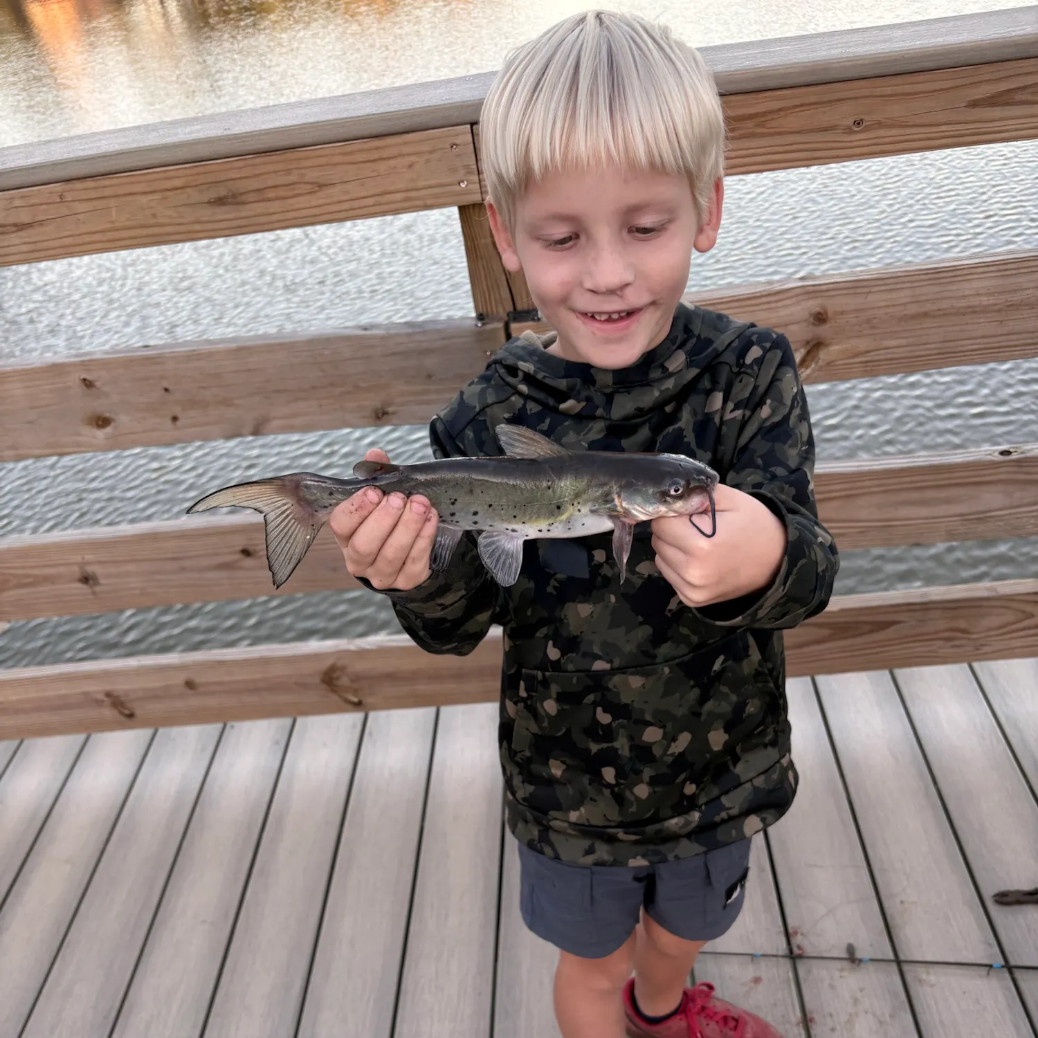 Blue catfish caught on Fishbrain